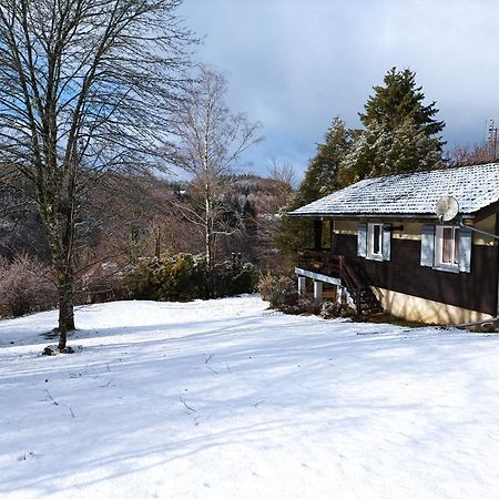 Chalet Deux Chambres Au Calme Saint-Brisson Kültér fotó