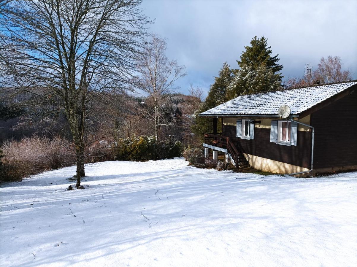 Chalet Deux Chambres Au Calme Saint-Brisson Kültér fotó